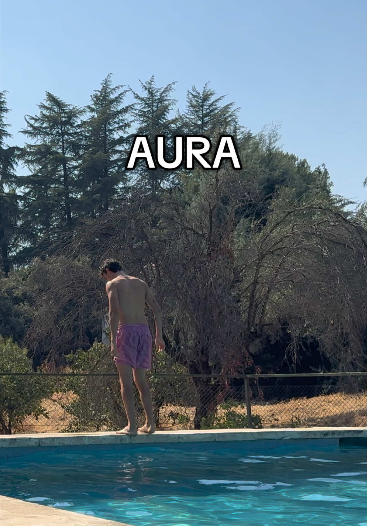 @Filippo Andreoni