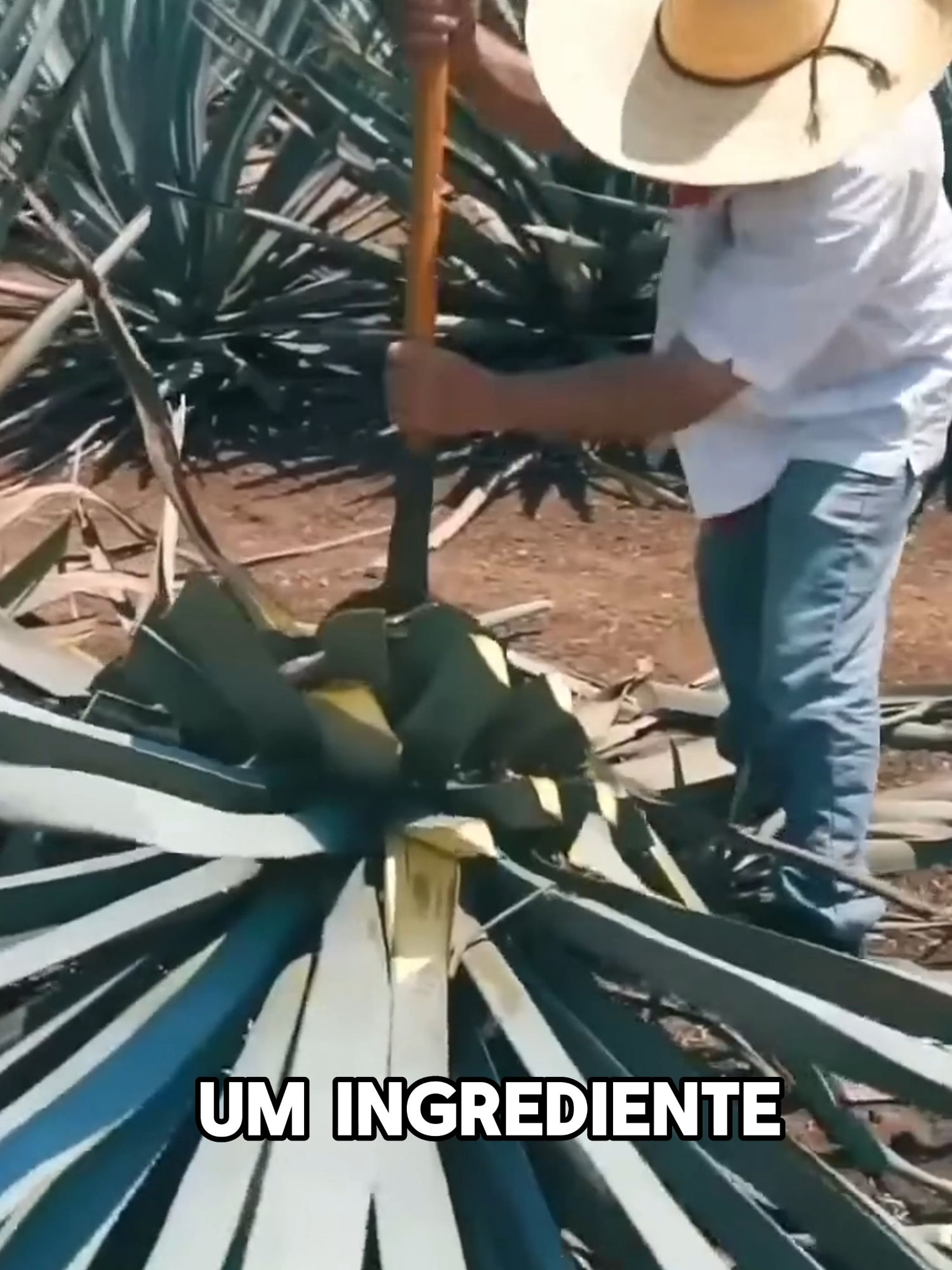 @Curiosidades Quânticas