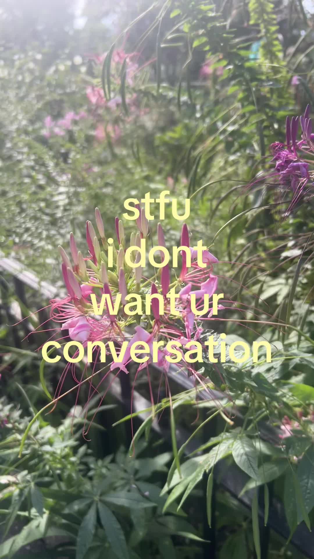 @😌