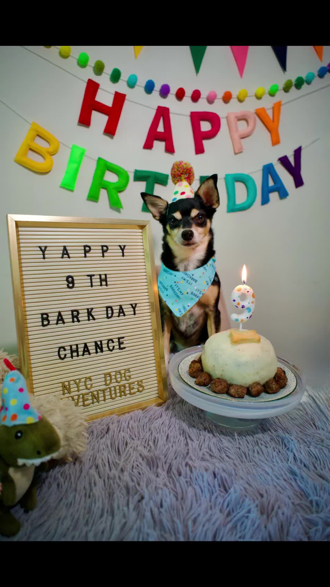 @nycdogadventures