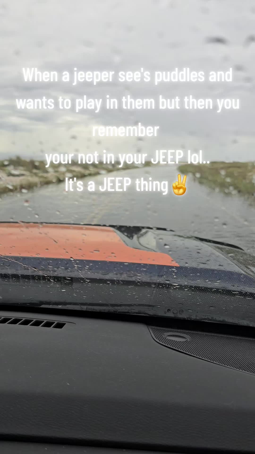 @Stitch and Angel Jeep
