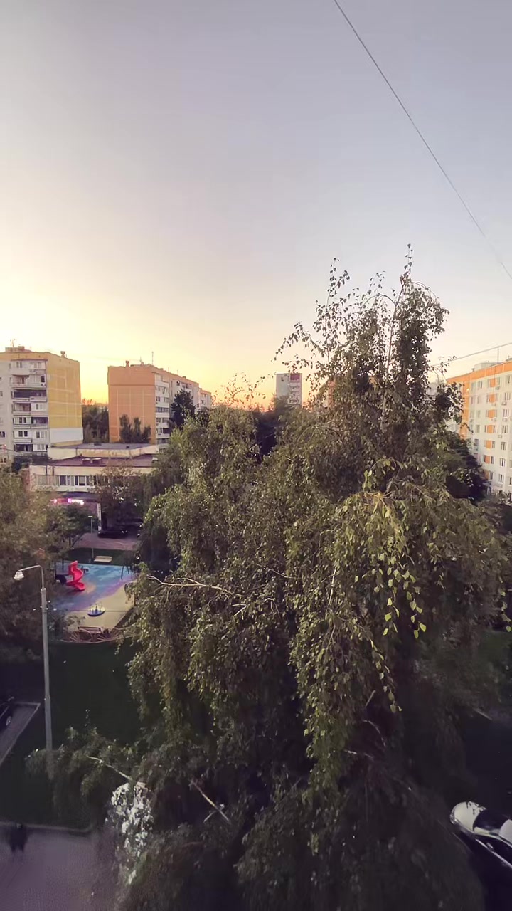 @dawn