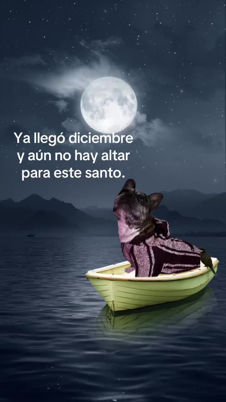 @Areli Arango