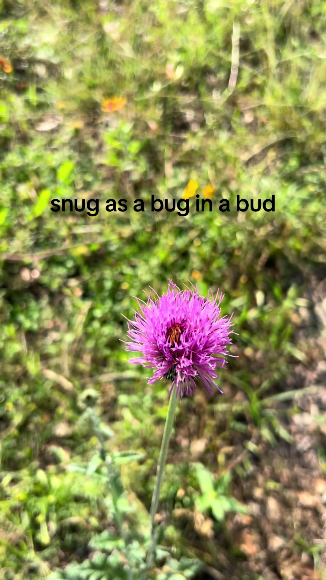 @Atumosk