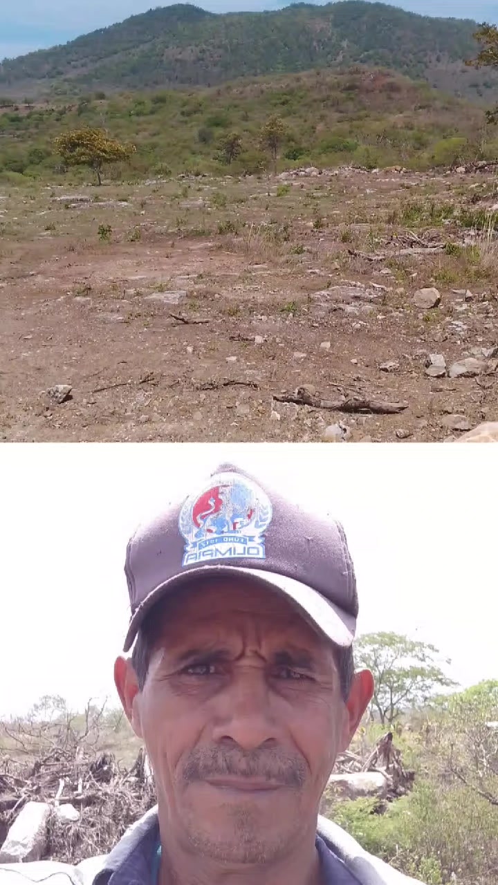 @conrrado V&aacute;squez