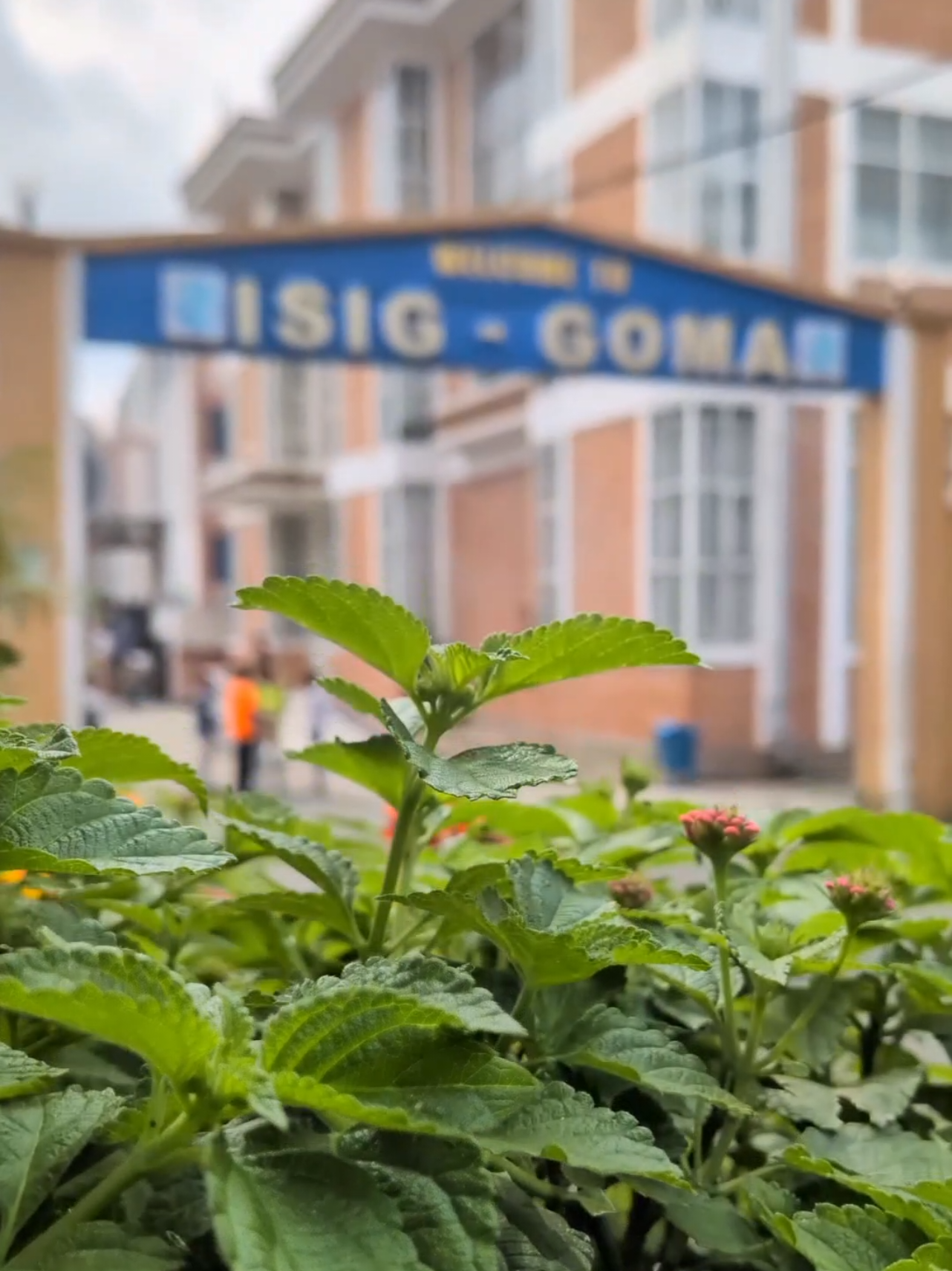 @ISIG-GOMA