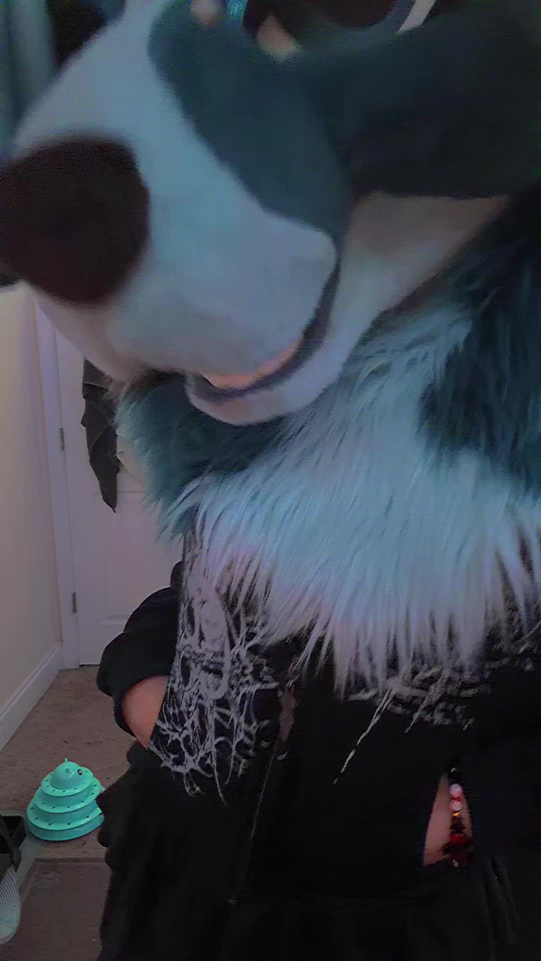 @Puppy<3🔜NYFB