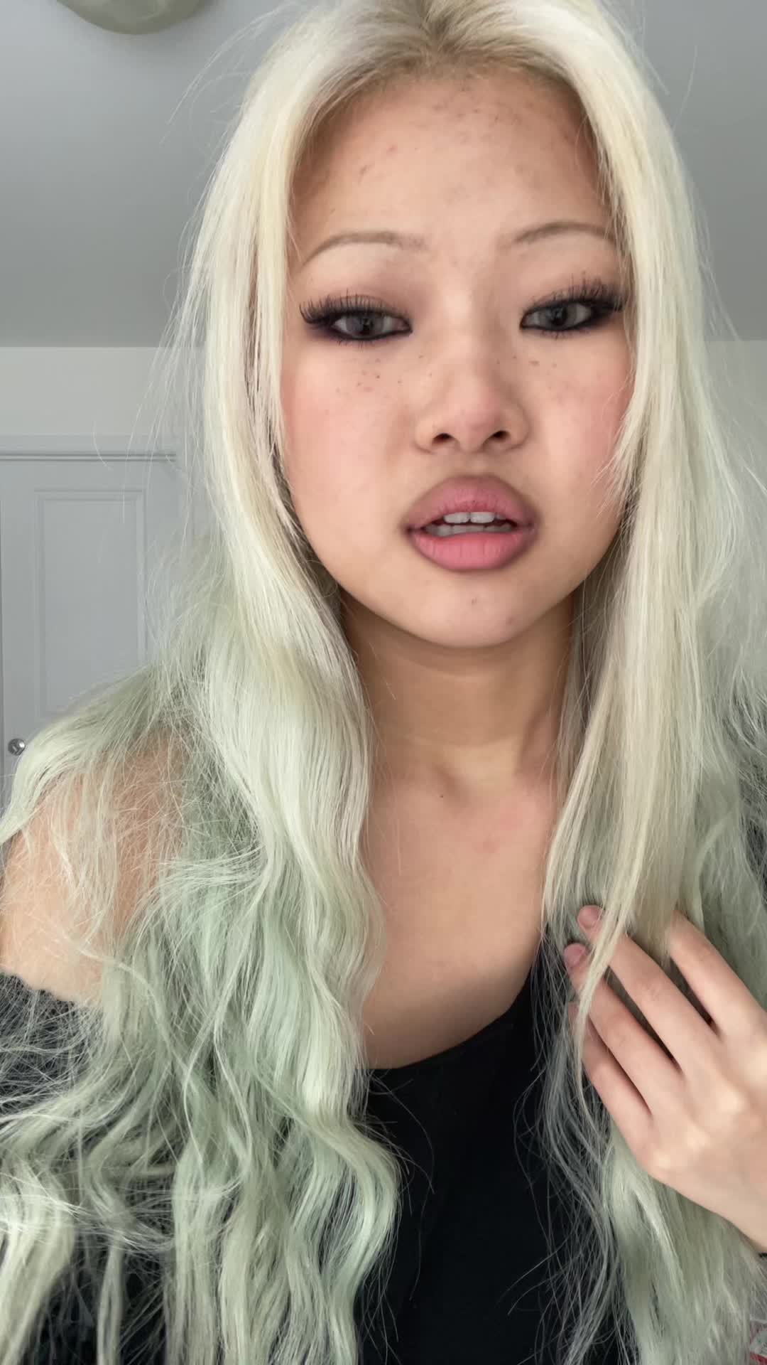 @chia.chihuahua1