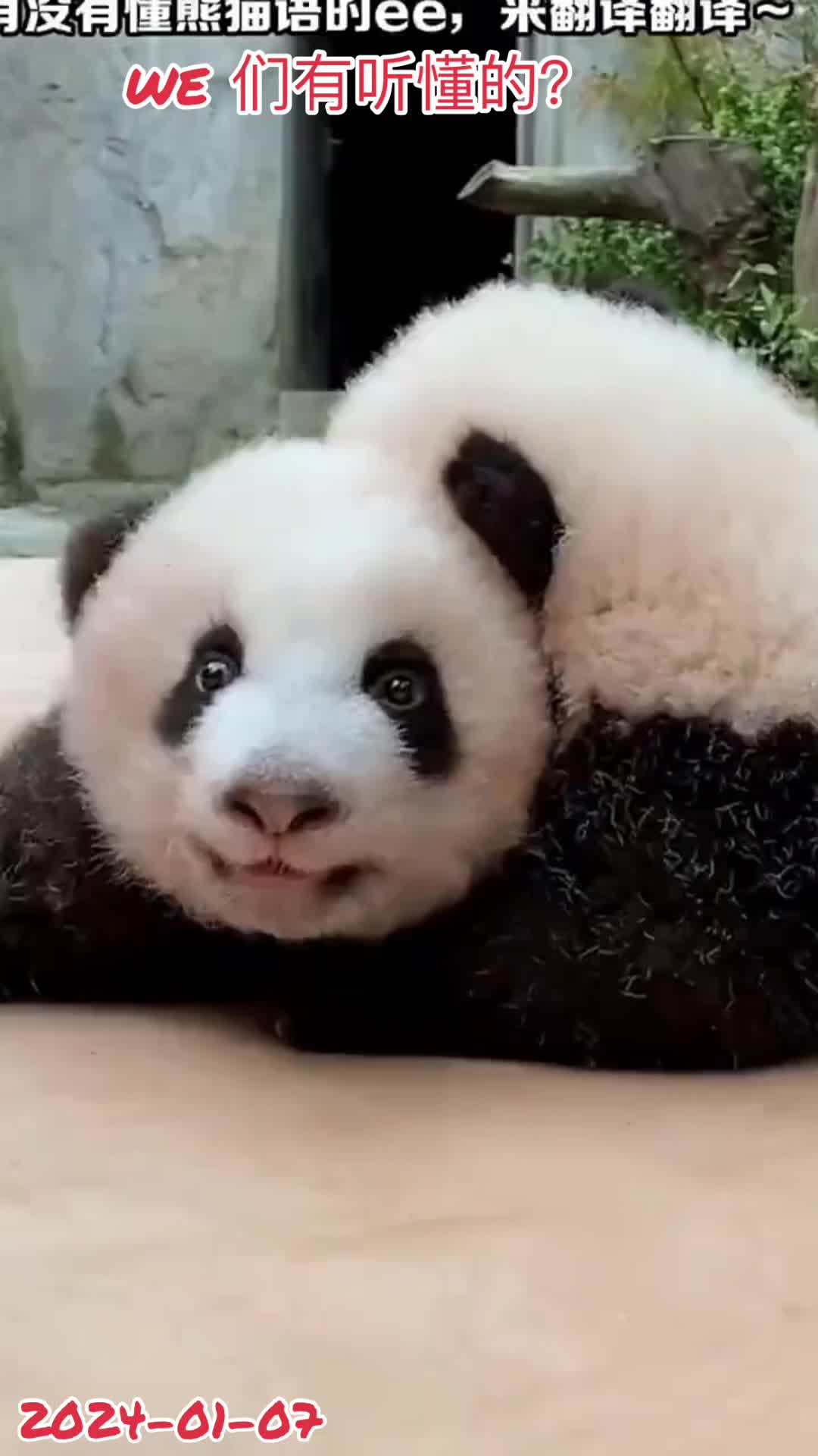 @一生等待