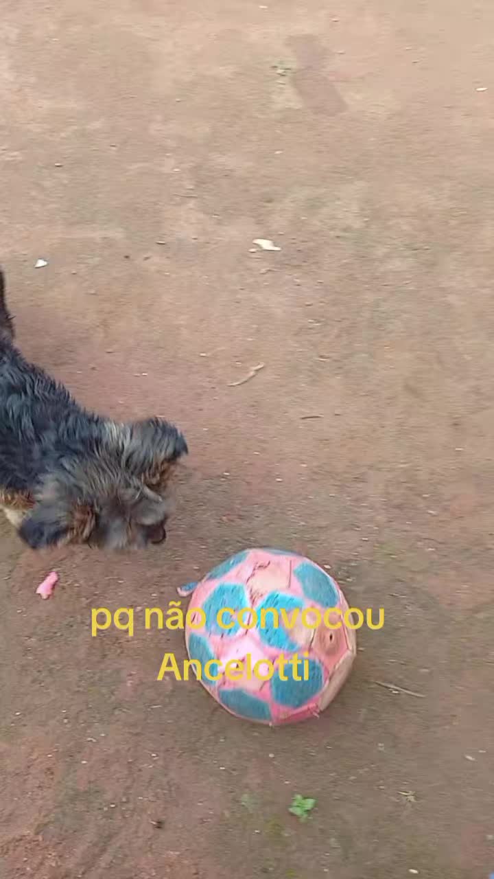 @💖 Letícia e príncipe 🩵