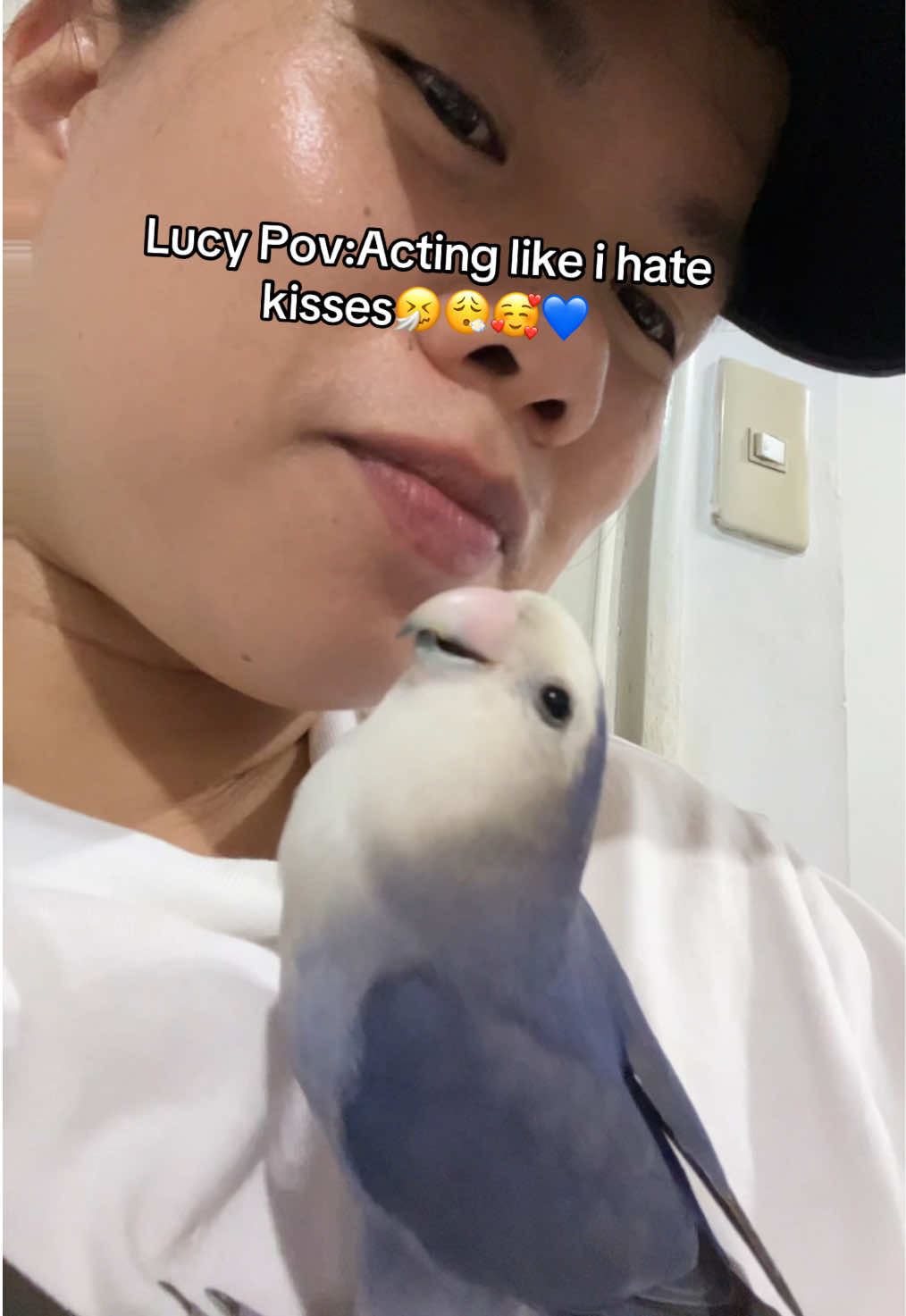 @crisaandbirds