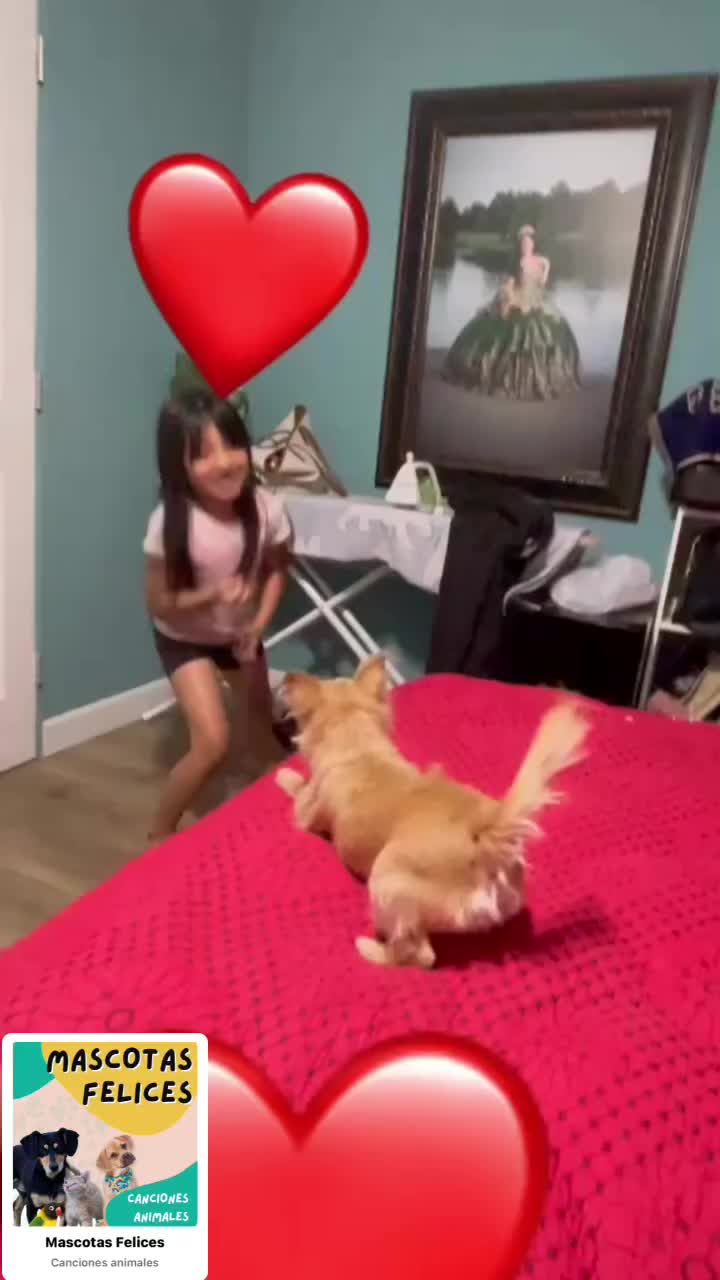 @Dany Guillén