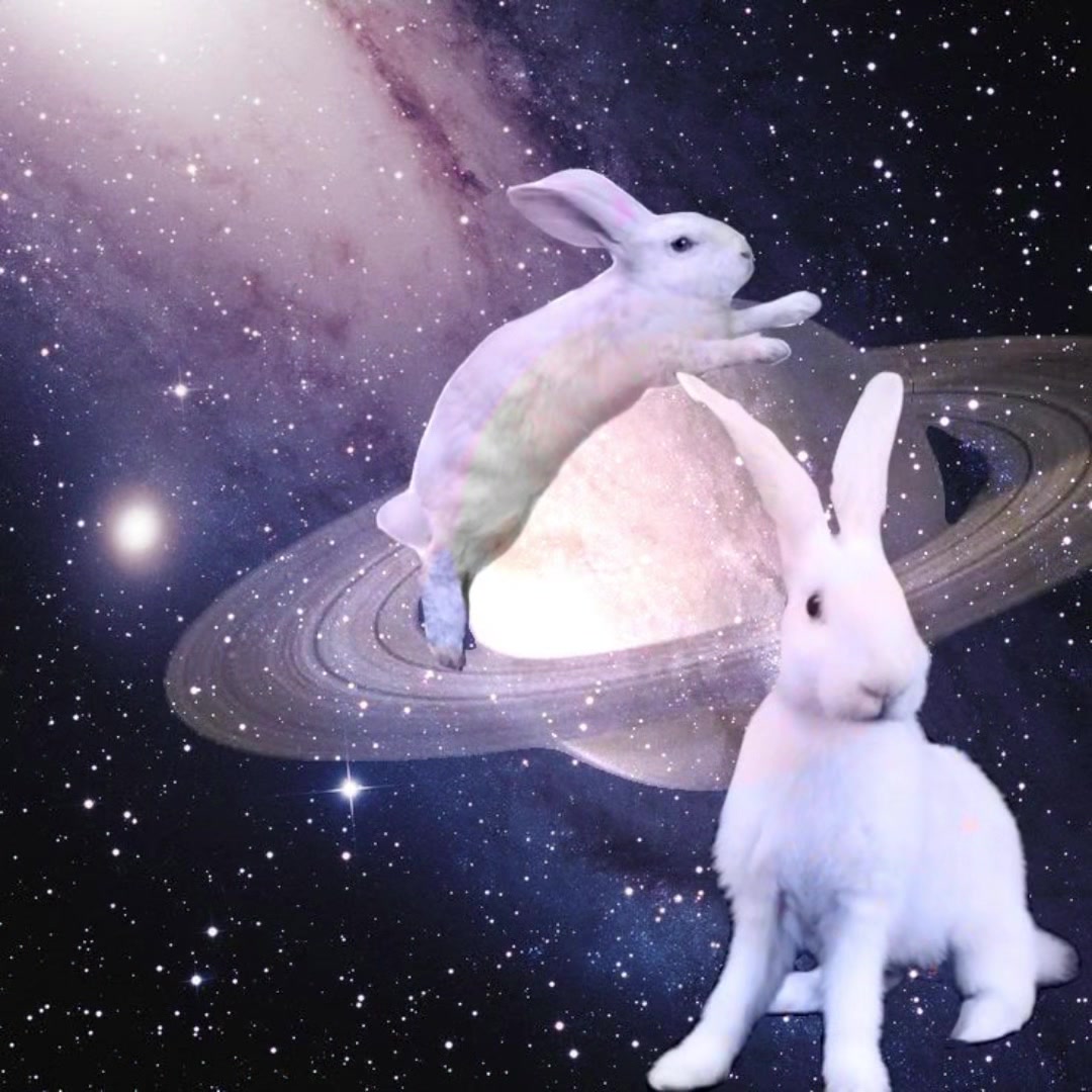 @๐ฟ๐๐๐๐๐๐๐๐๐๐ ๐ฏ .แโธโธ