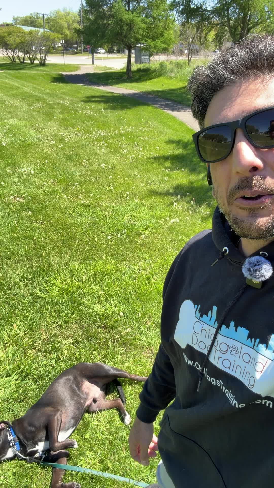 @Chicagoland Dog Training