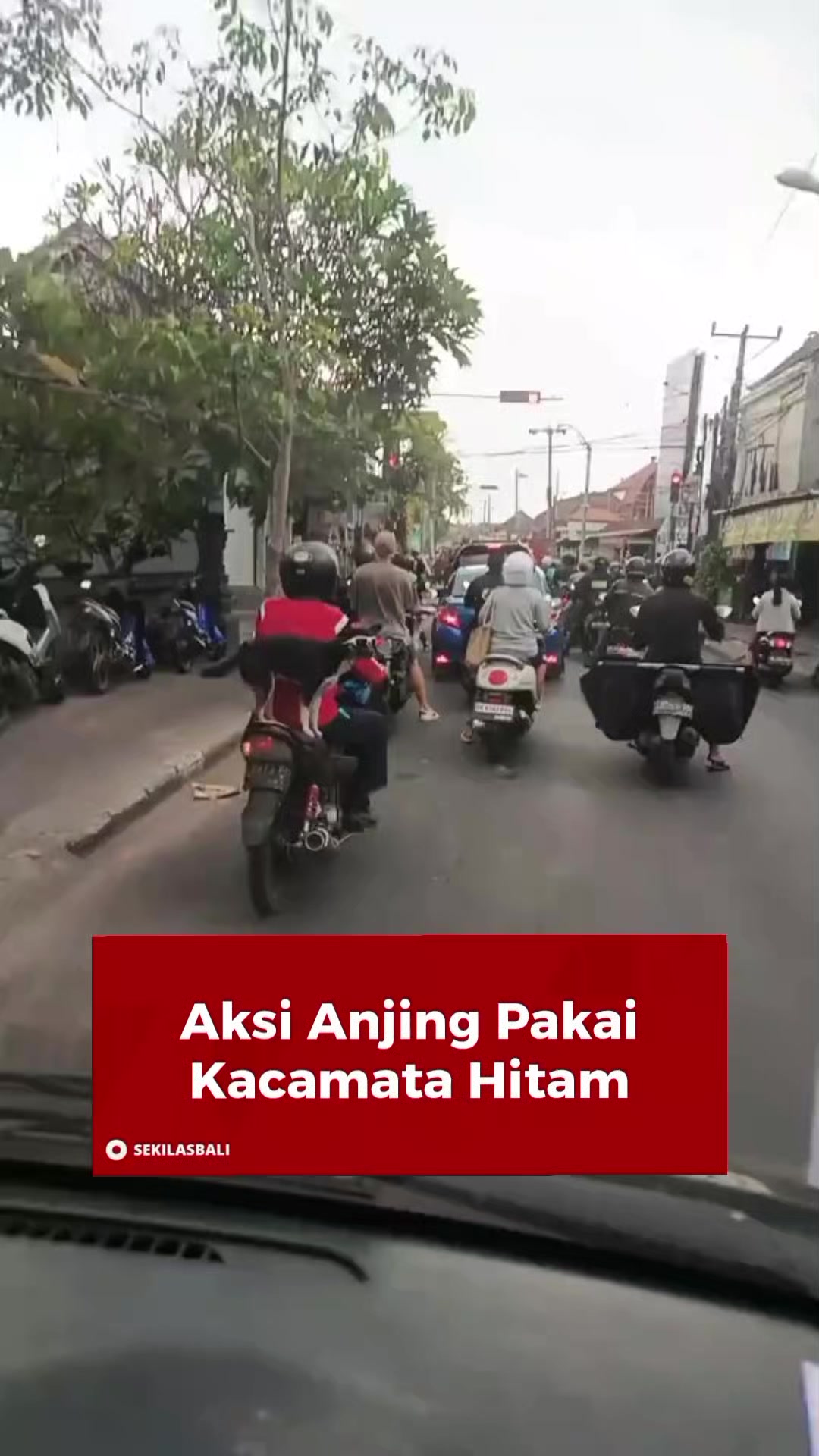 @Sekilas Bali