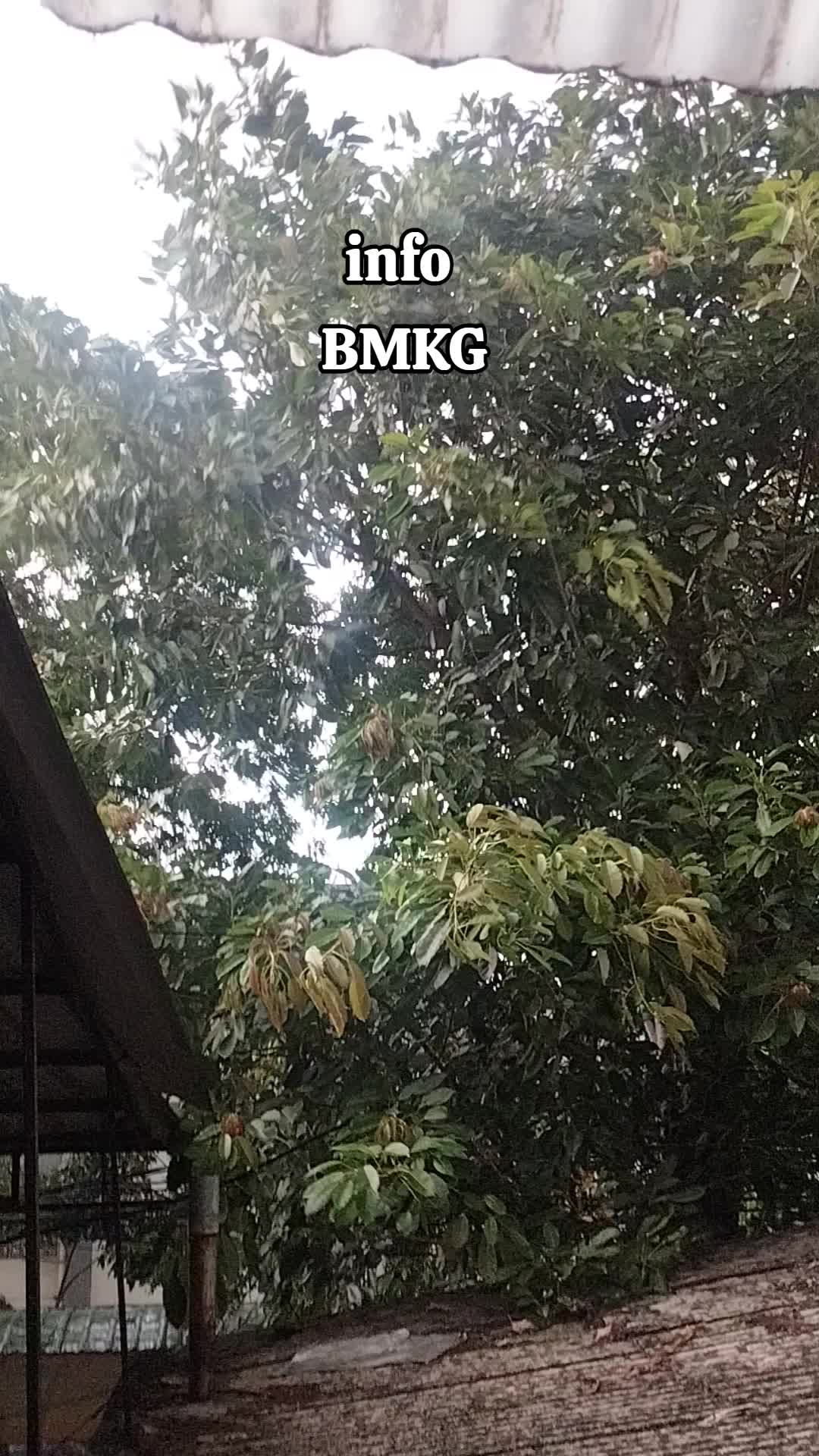 @makanenaktrus_