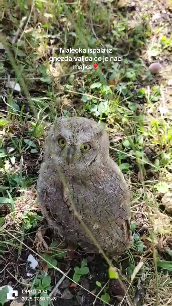 @ALEKSANDAR