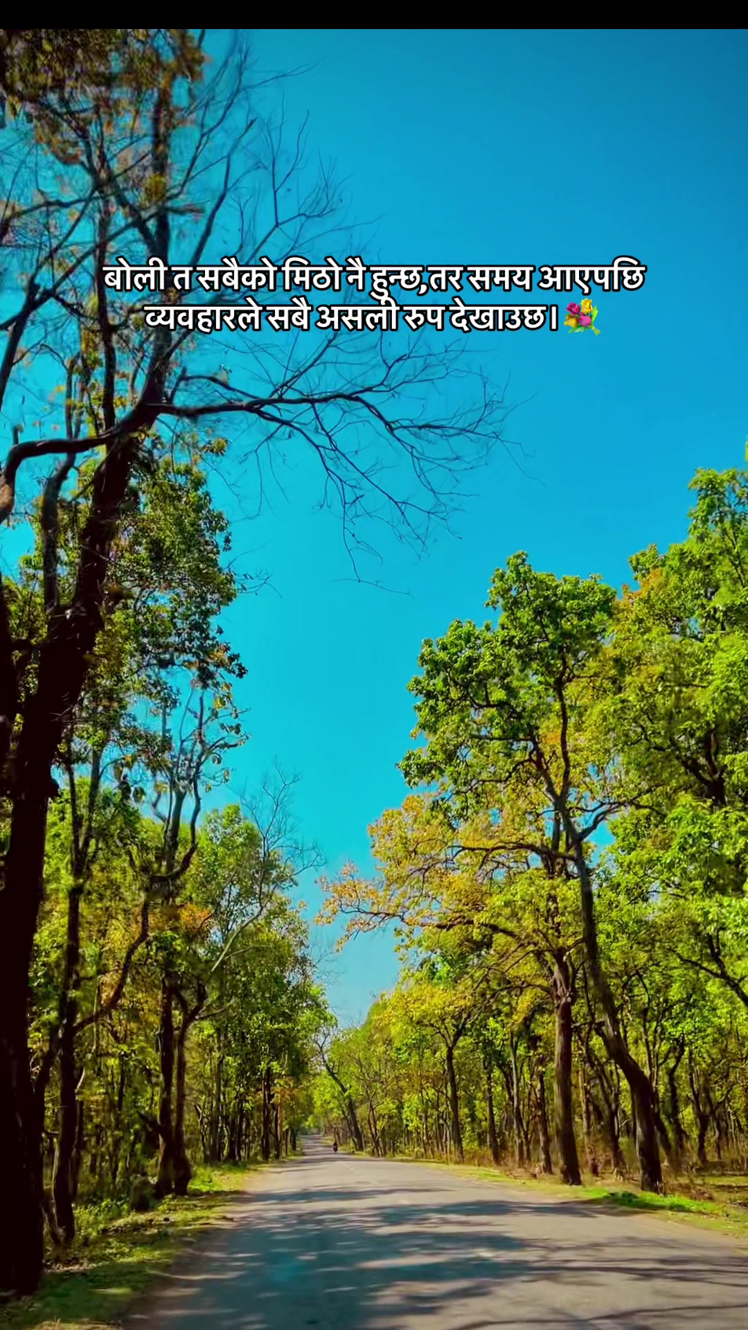 @🔥mr.kalwar🔥