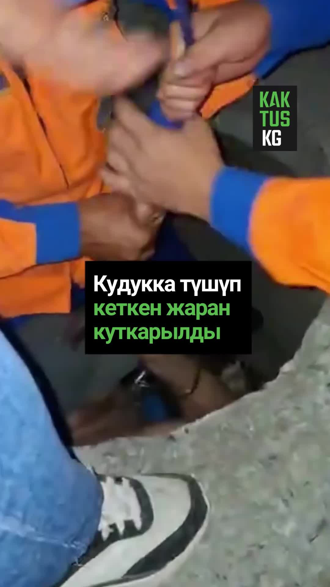 @Kaktus KG