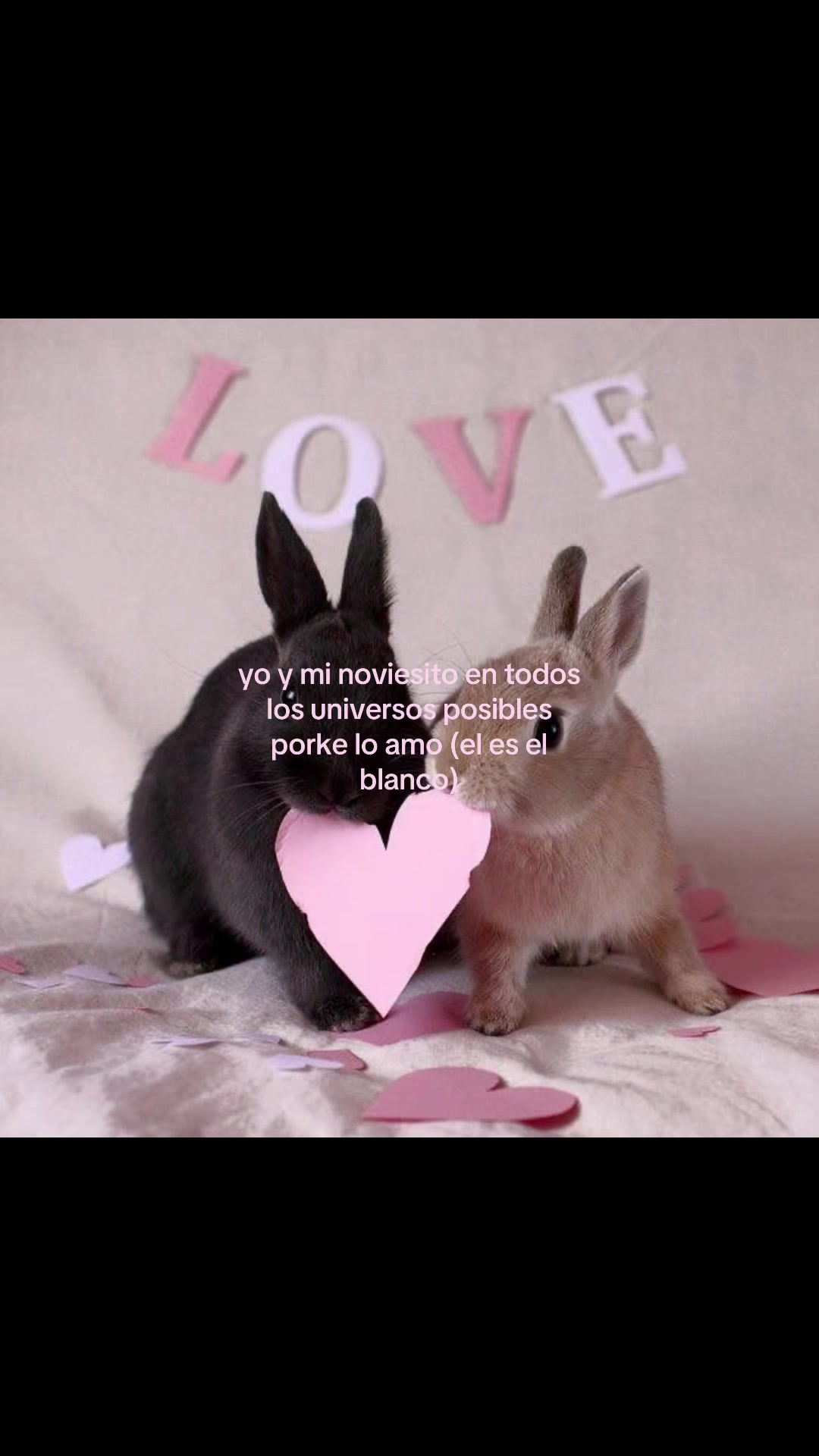 @𑣲. Andrea >⩊<.ᐟ