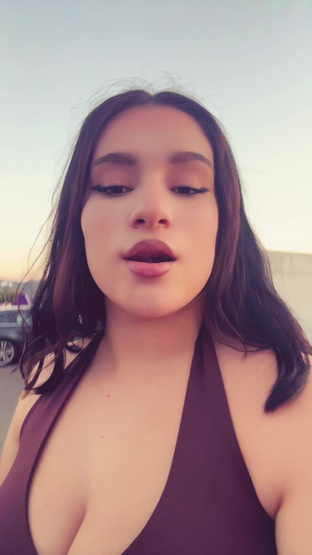 @🐆