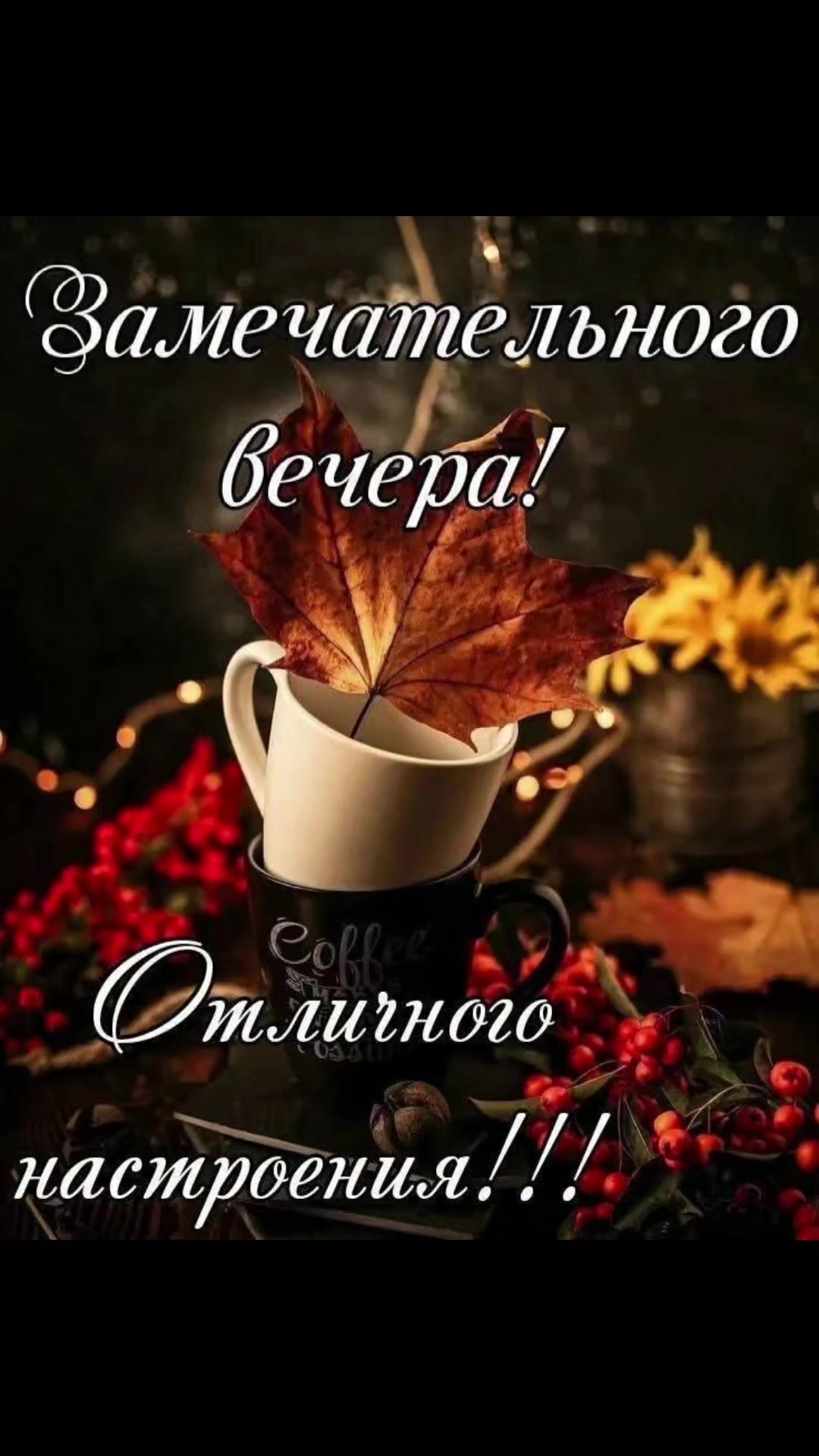 @Лара