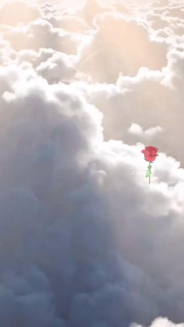 @🌹JO_LINE🌹