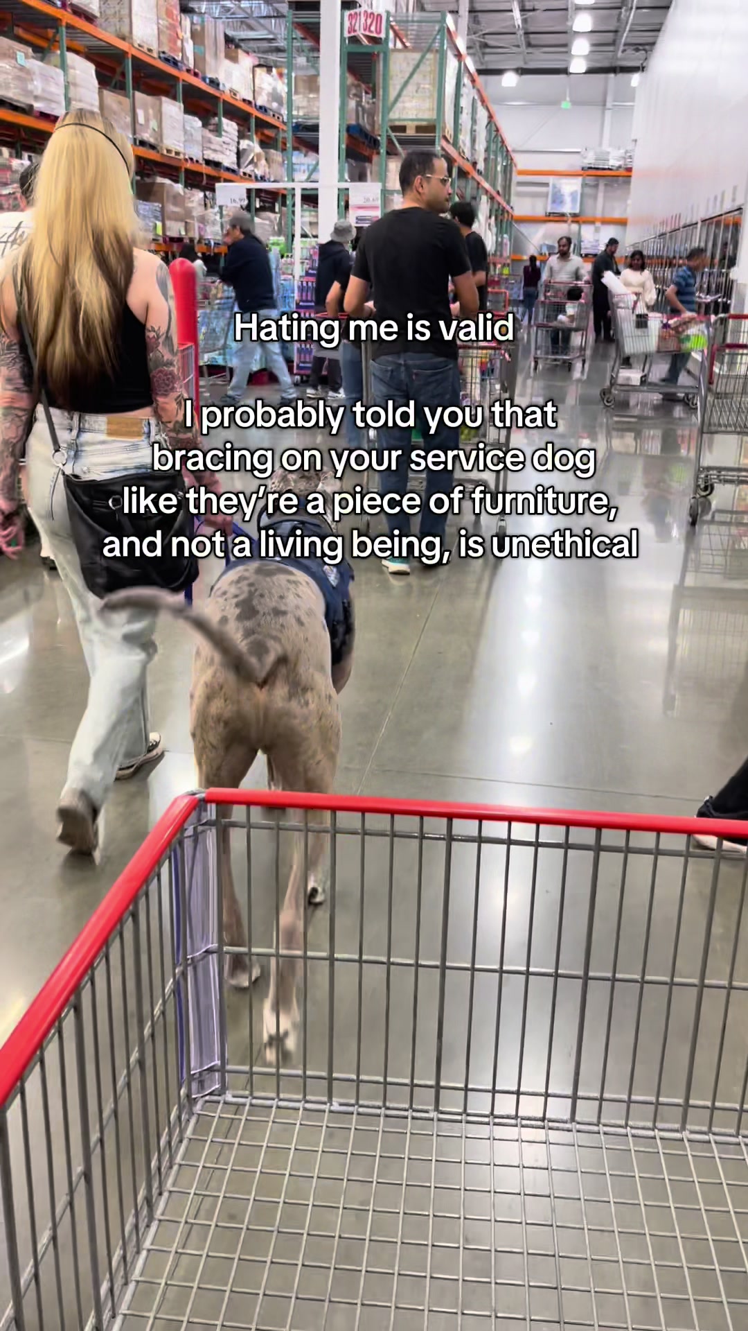 @lex 🐺⛓️