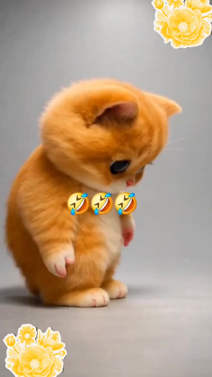 @mahira