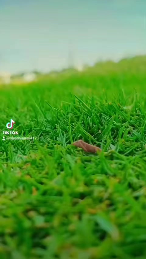 @akhter___shEr