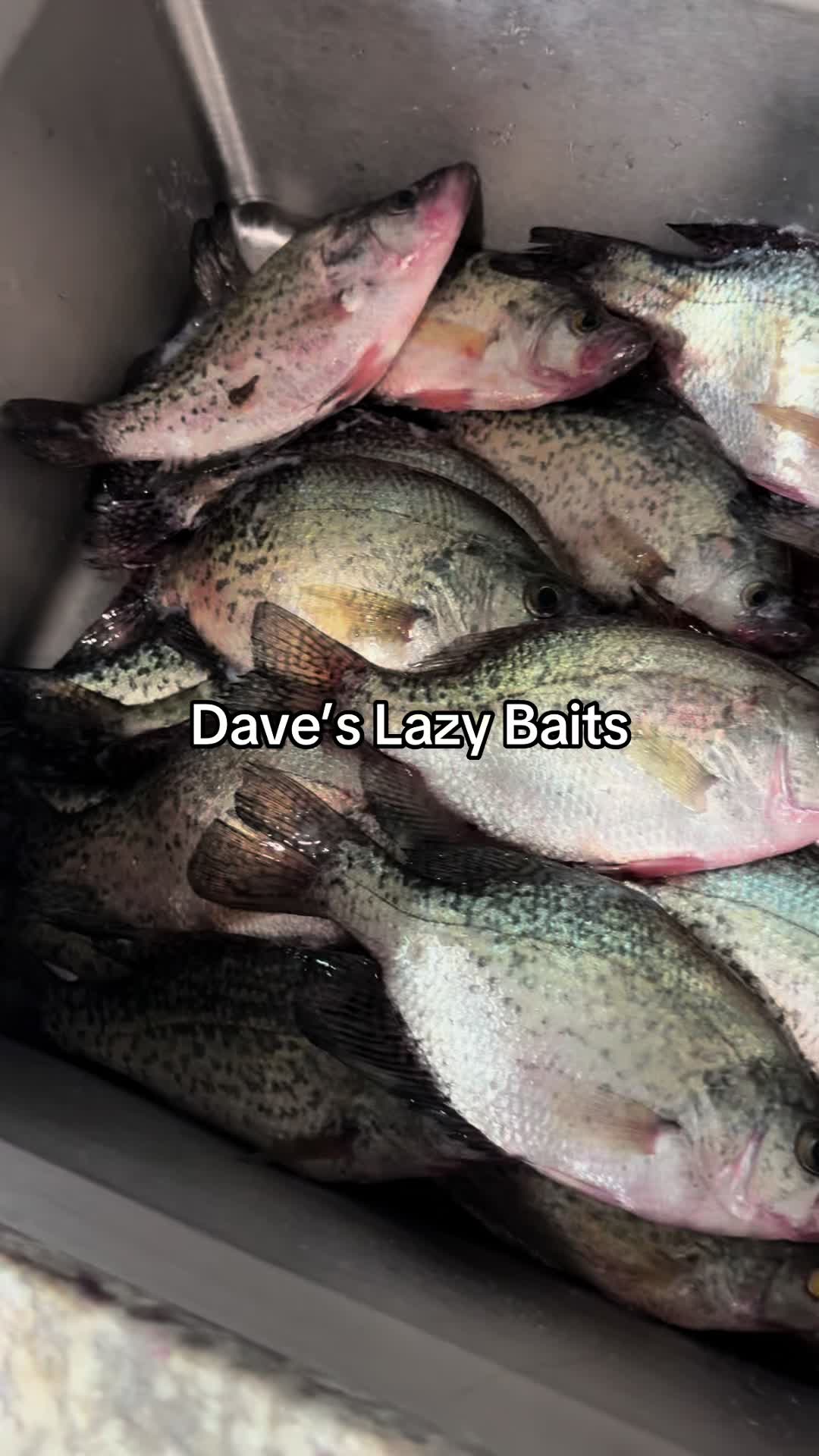 @Dave’s Lazy Baits