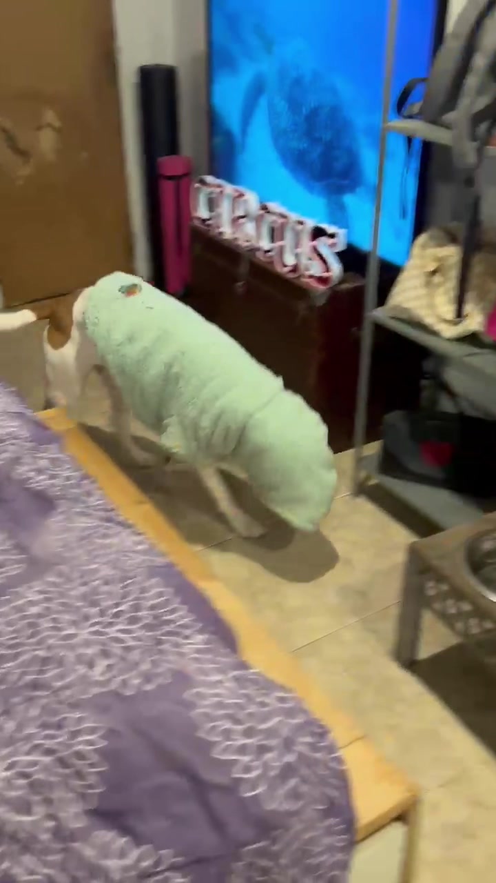 @maggieandmartha