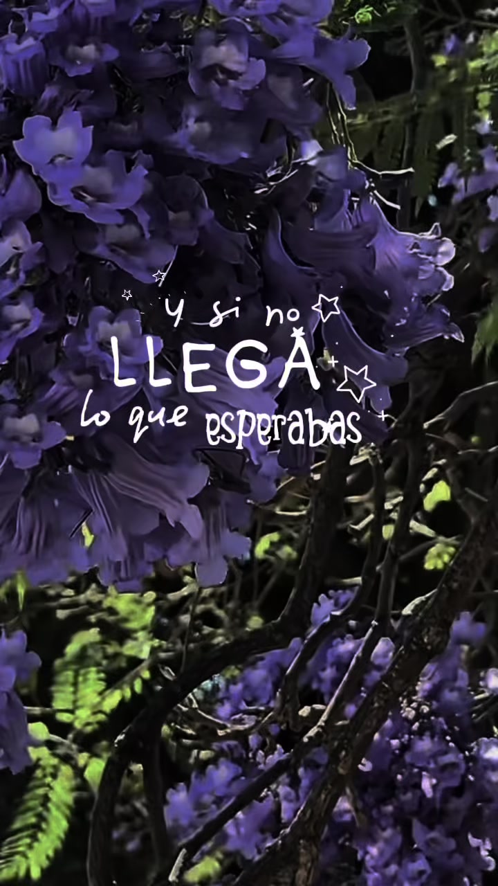 @Celeste RSH