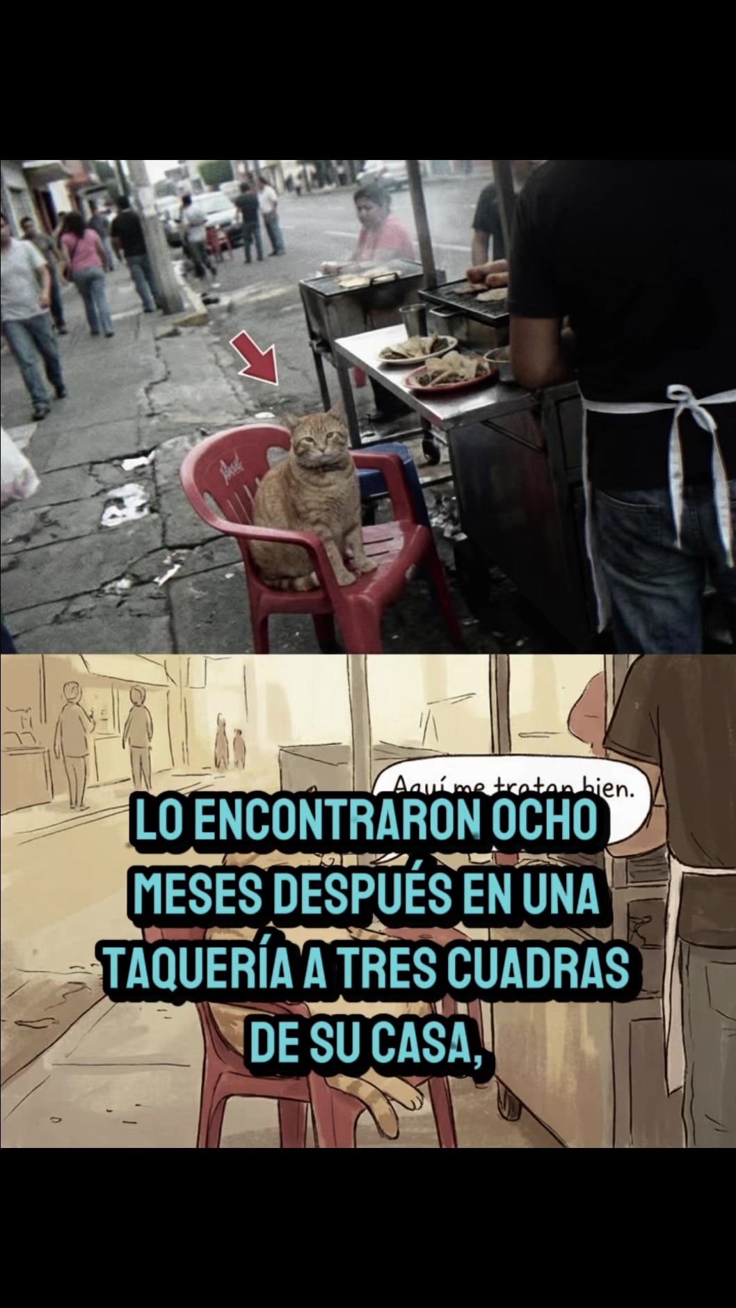 @Hector M Solorzano