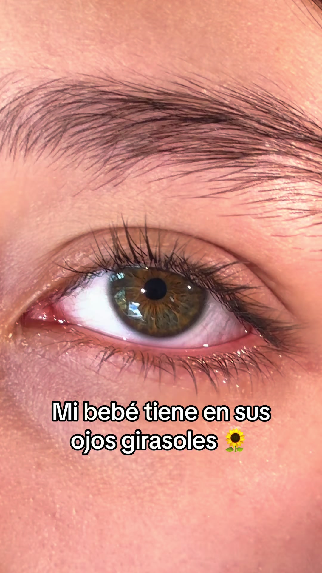 @Sofy AV