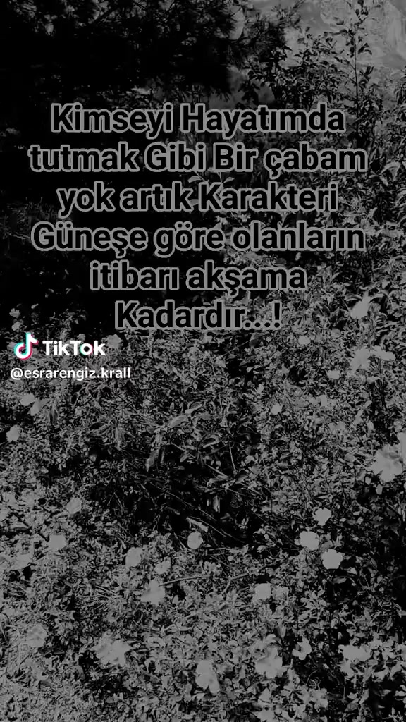 @kurt bey 52