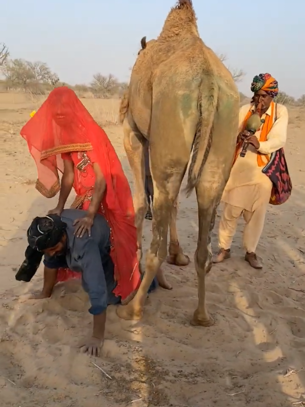 @Camel Lovers