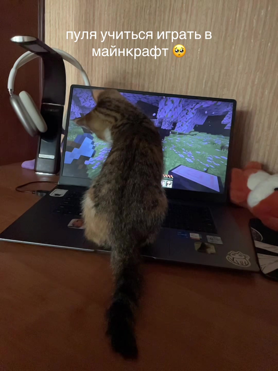 @алиска🚬