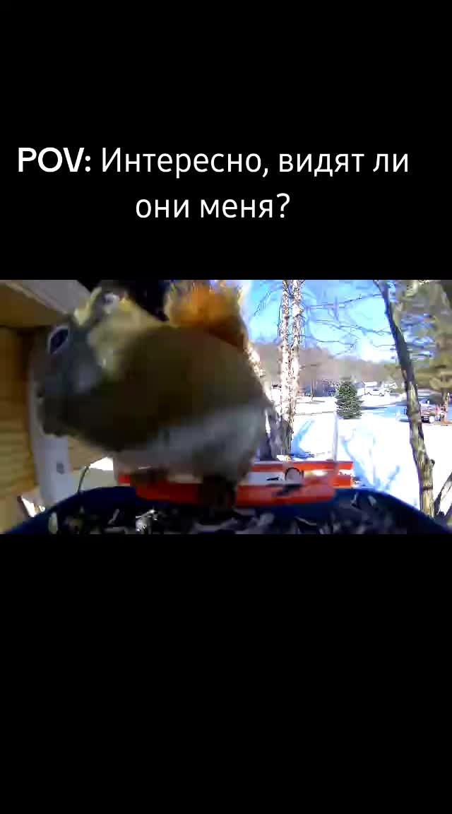 @Любопытно