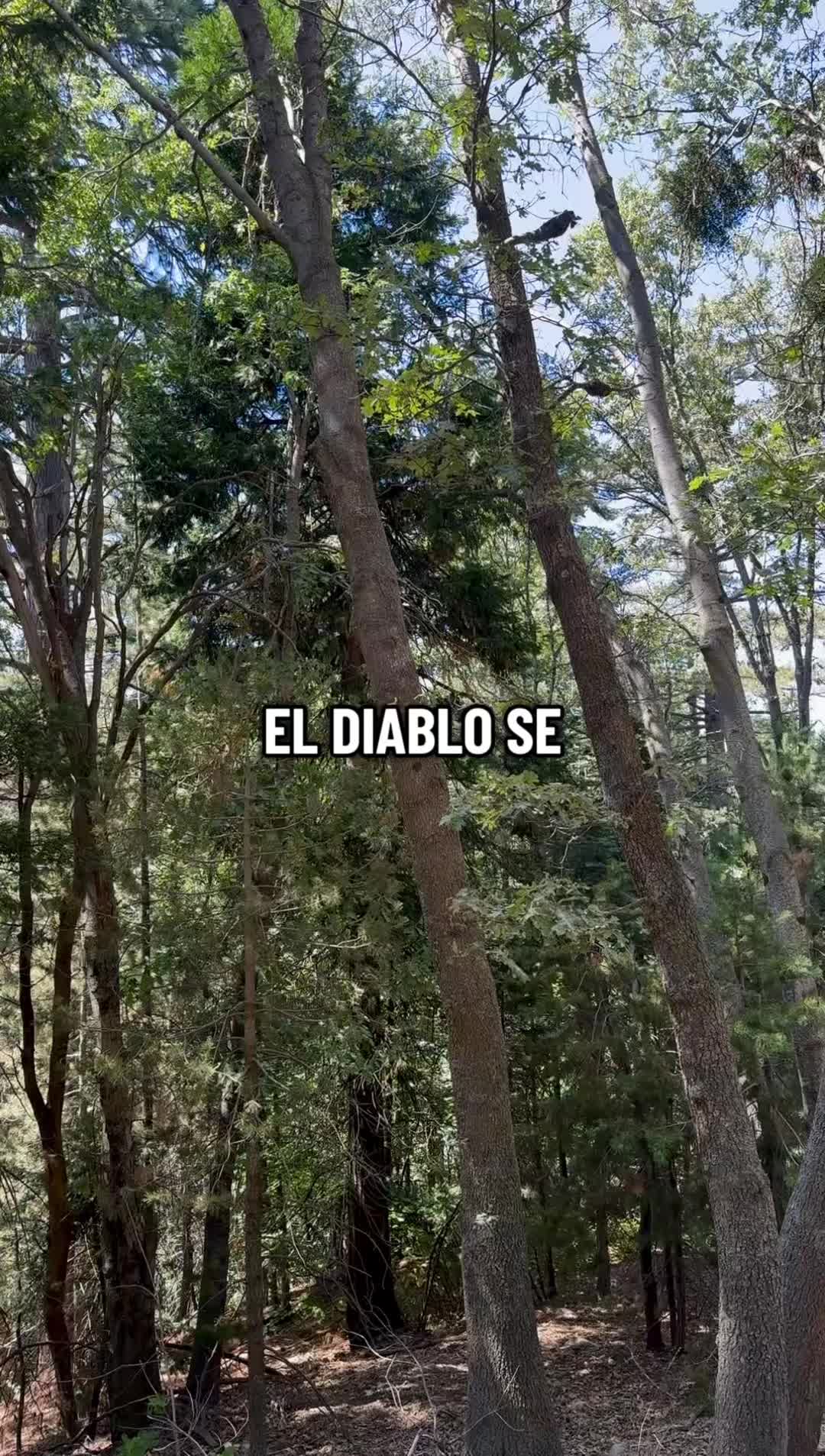 @SimpleHappiness🌞