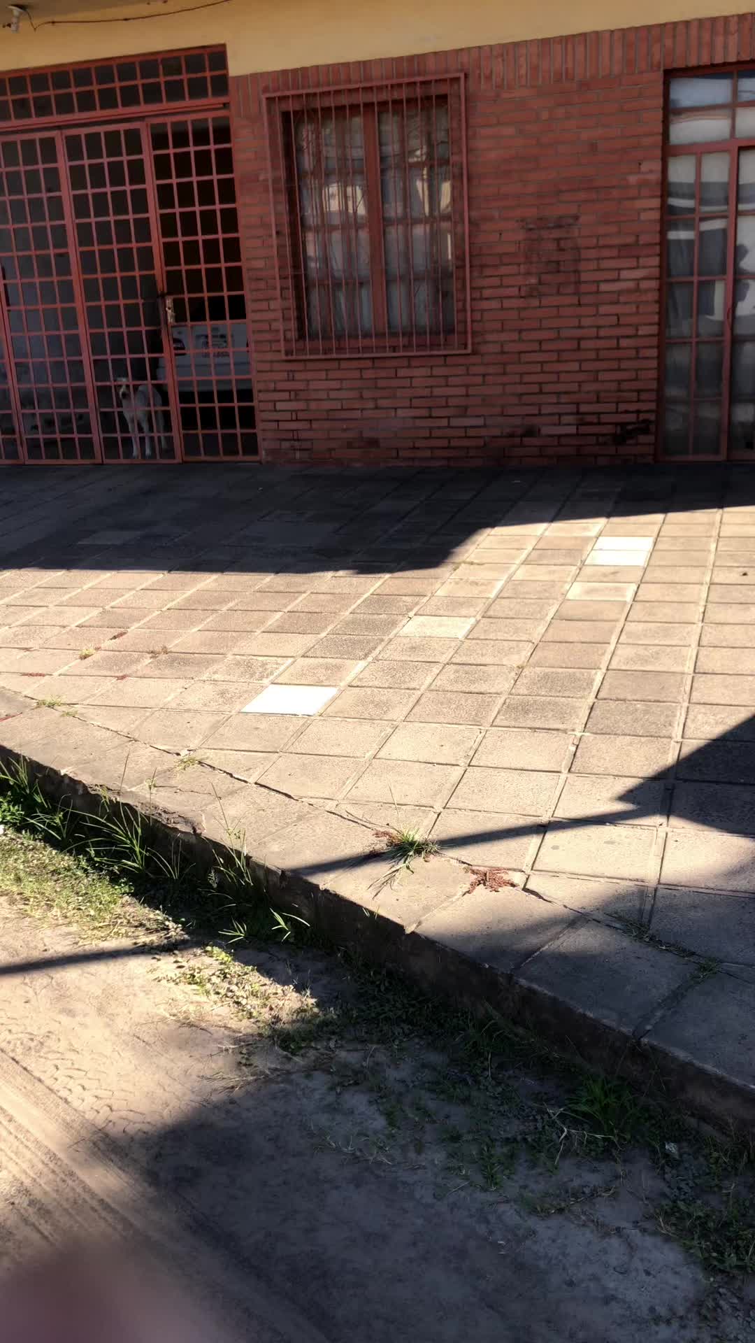 @Juancitormg