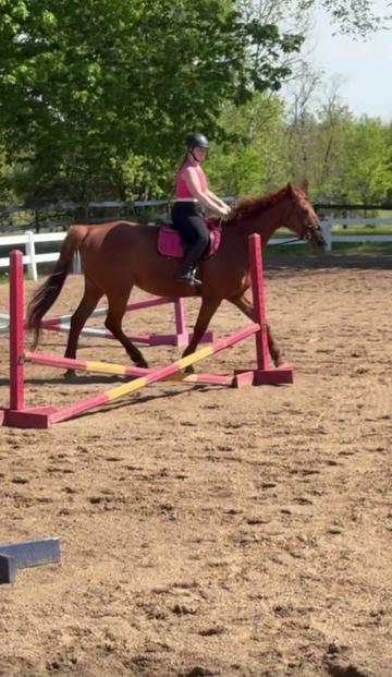 @ella_eqacc