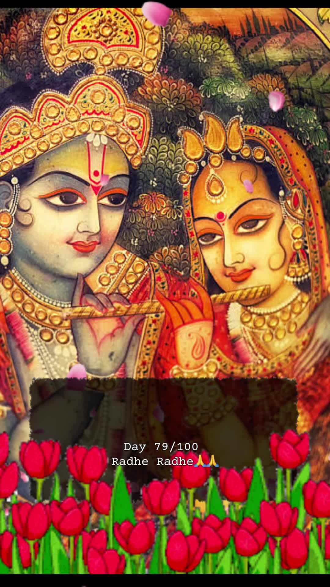 @RadheKrishna🦚🦚🙏🙏