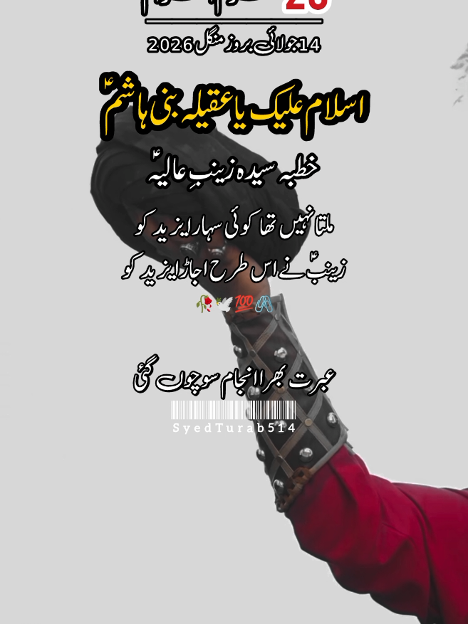 @سید علی ابوتراب ہمدانی