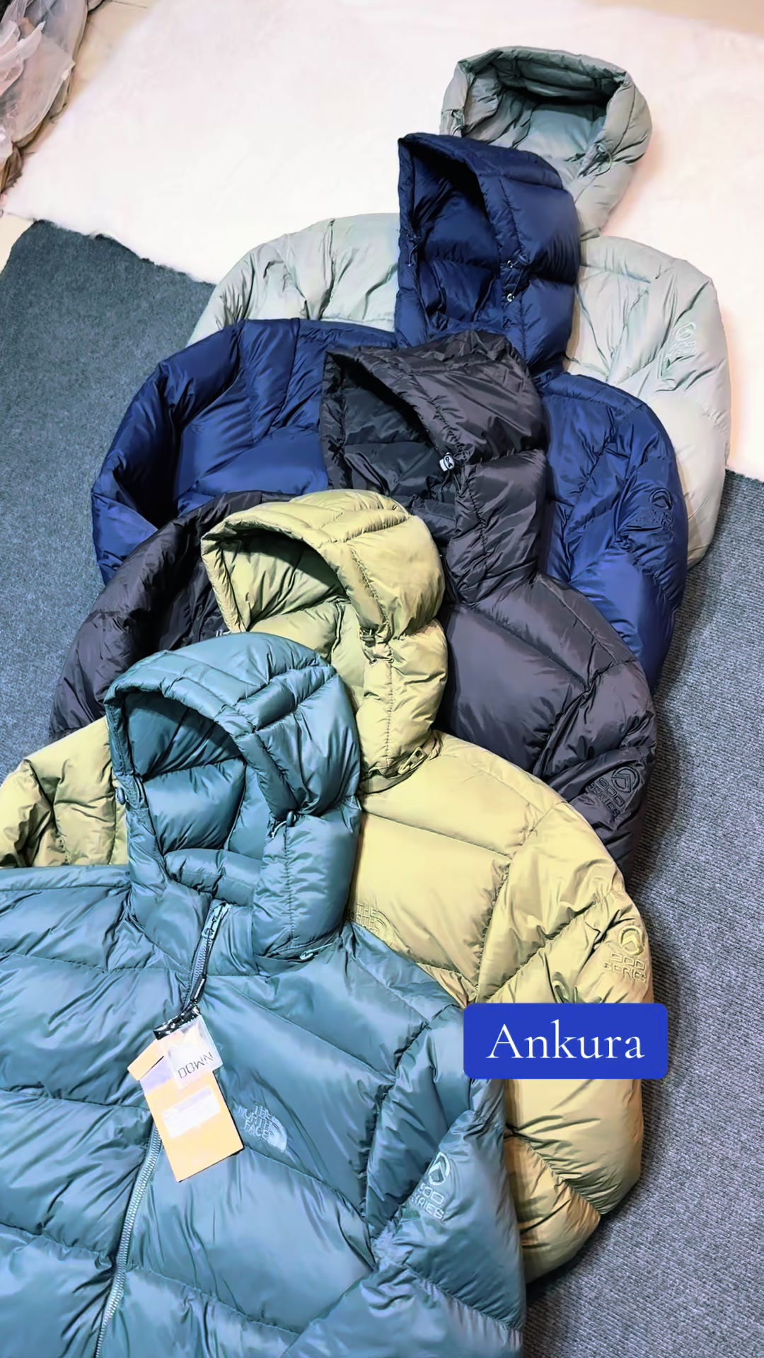 @Ankura_ ( official)