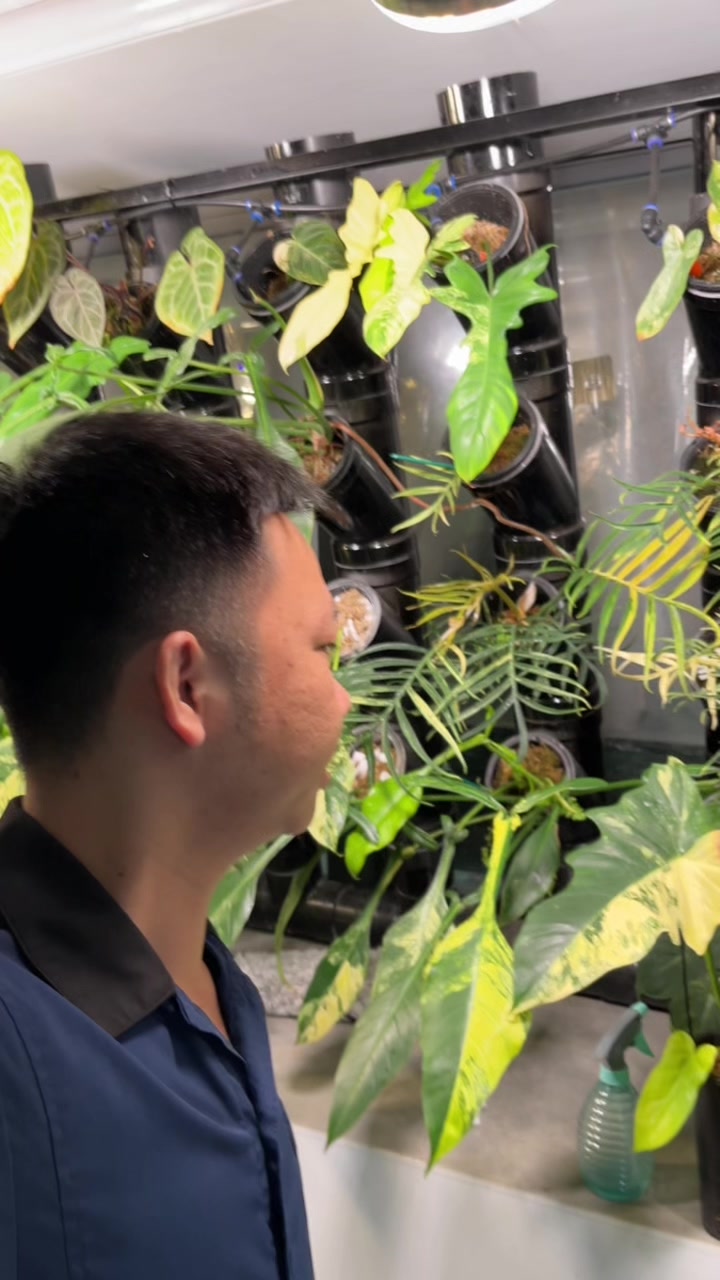 @Huy Kiểng L&aacute;