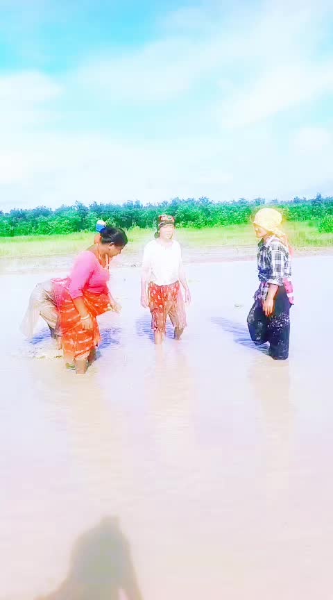 @Kabita Adhikari3973