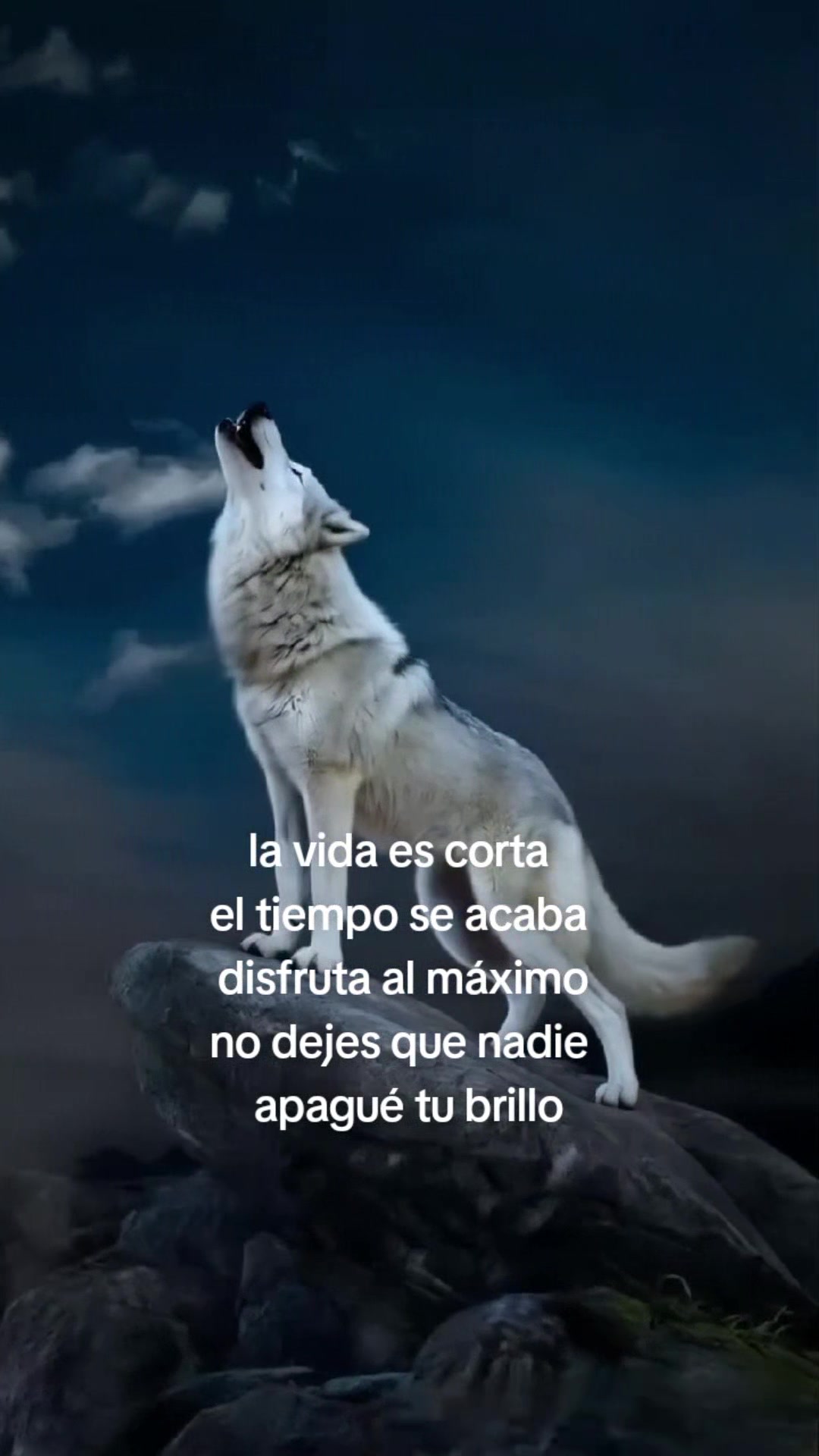 @Rubén12