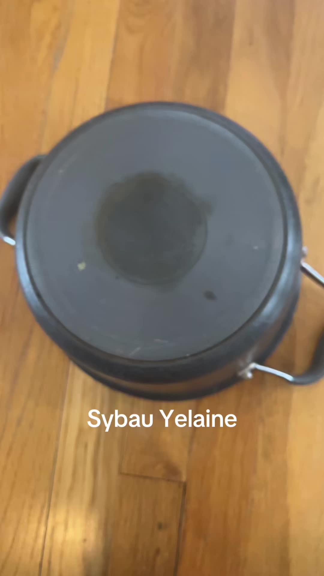 @sybau67
