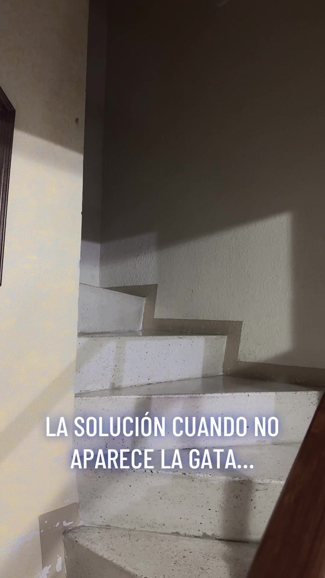 @Diana Placebo